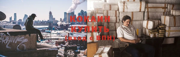крисы Арсеньев