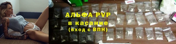 крисы Арсеньев