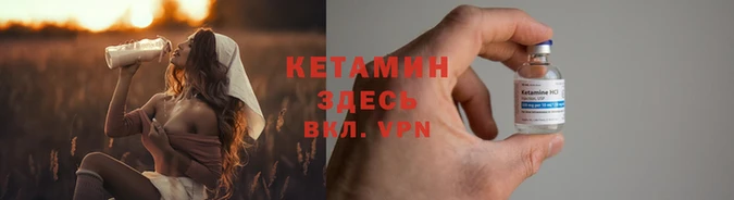 крисы Арсеньев